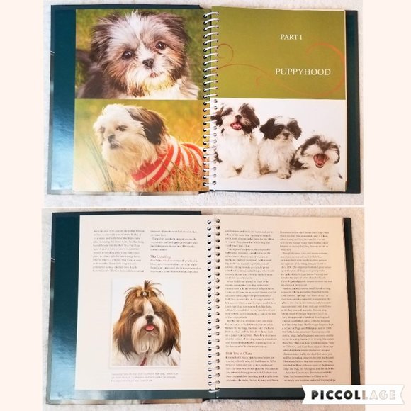 Shih Tzu Dog Life: Lifelong Care for Your Dog Book With DVD - Picture 5 of 6